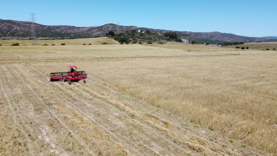 Commercial Property for Sale in Mossel Bay Rural Western Cape